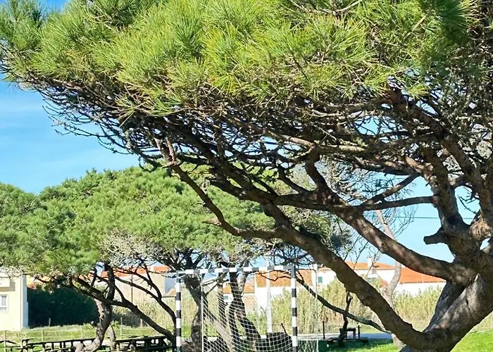 Casa Sol E Mar By Ferias Em Figueira *